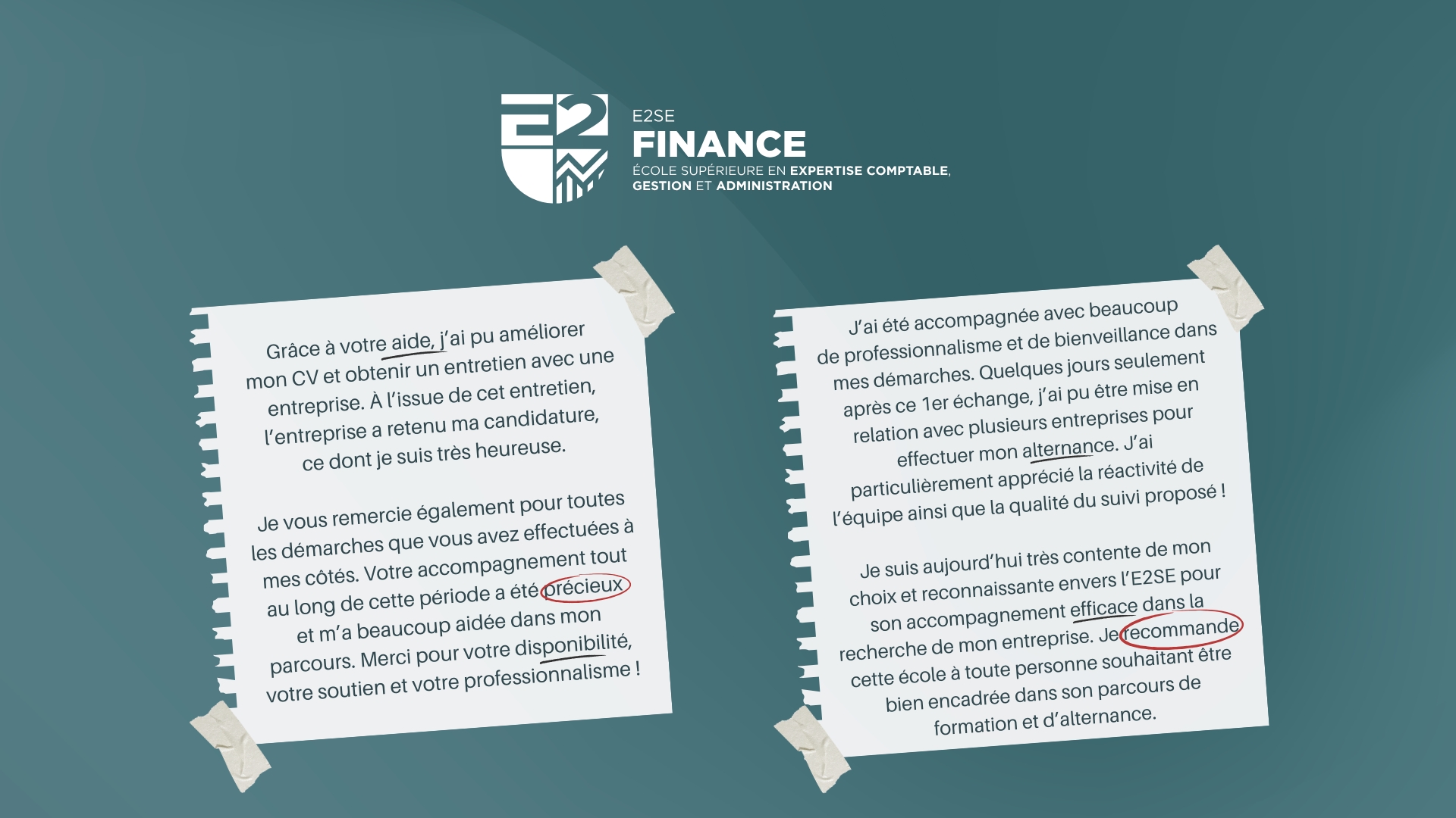 Image mise en avant de l'article Deux parcours, une même réussite