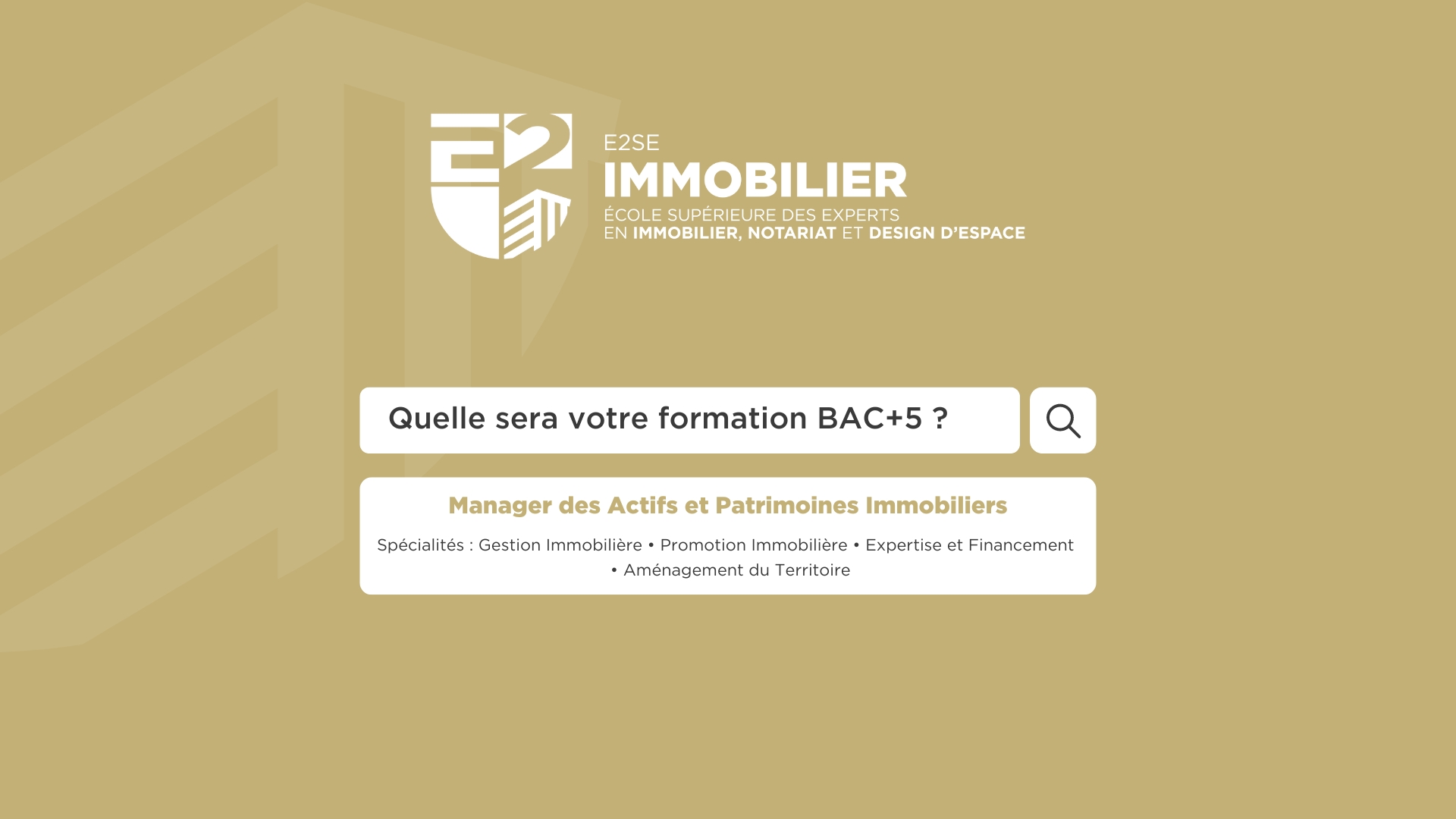 Image mise en avant de l'article NOTRE FORMATION EN MASTÈRE