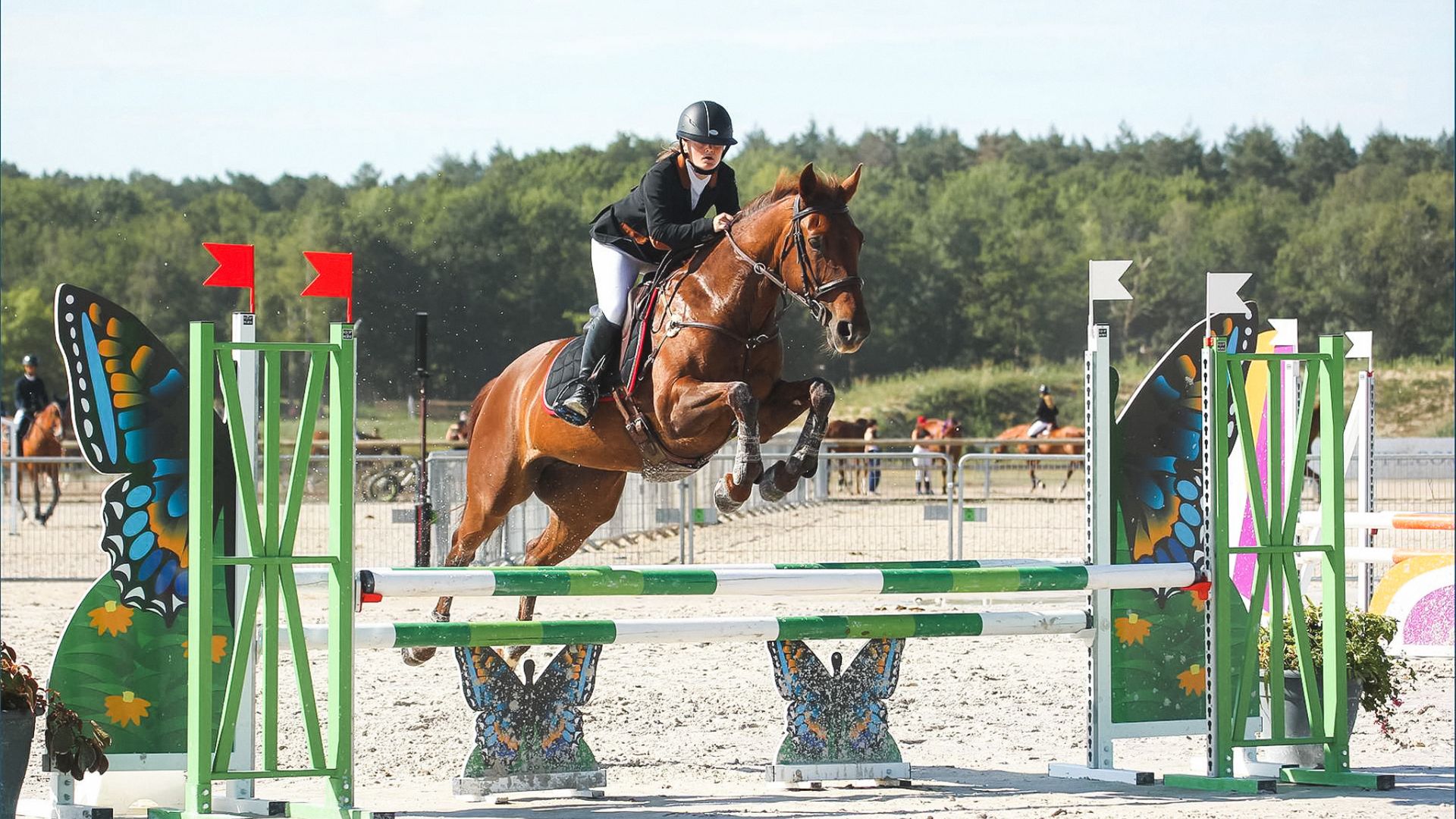 Image mise en avant de l'article CHAMPIONNATS DE FRANCE ÉQUITATION