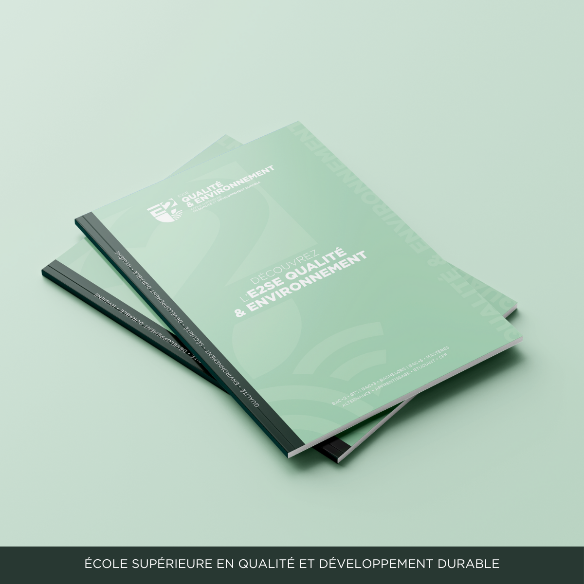 Image mise en avant de l'article Nouveau Catalogue de formation – E2SE Qualité & Environnement