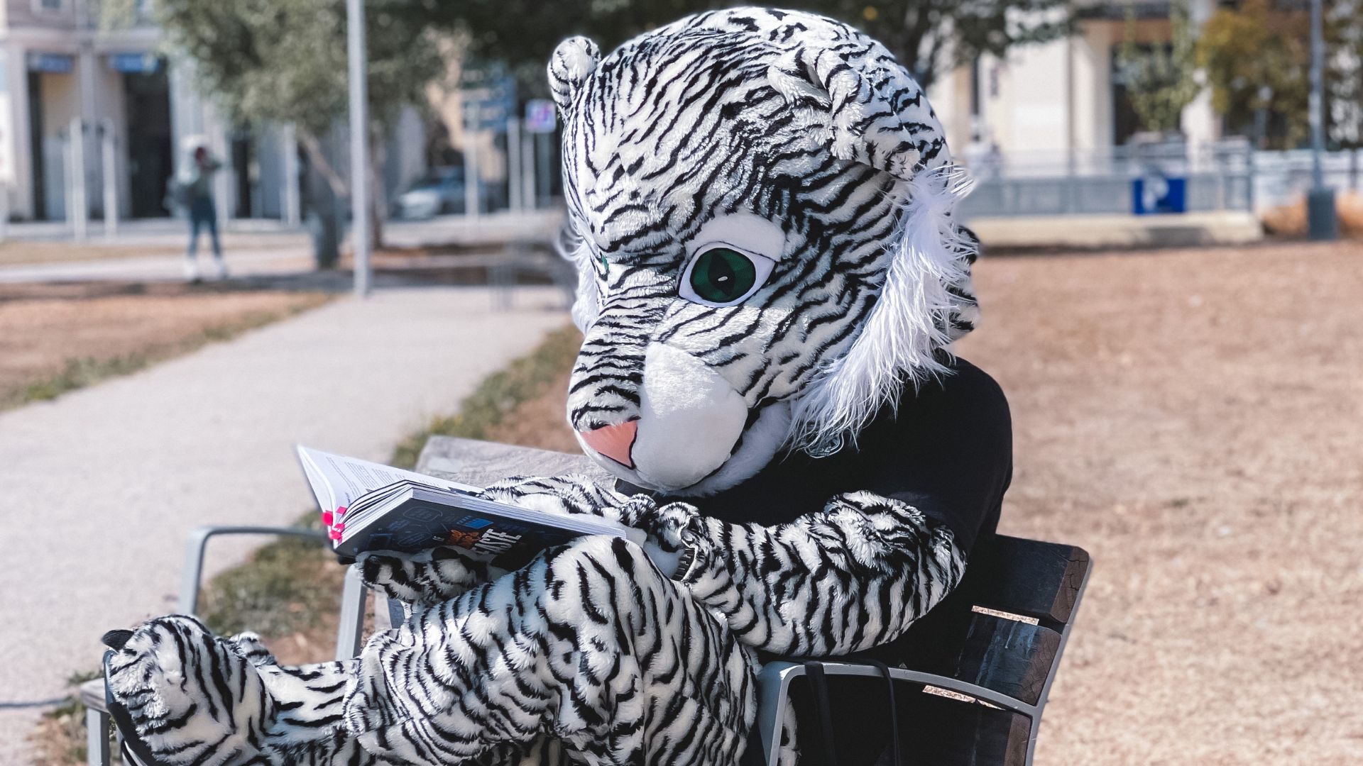 Image mise en avant de l'article BACK TO SCHOOL