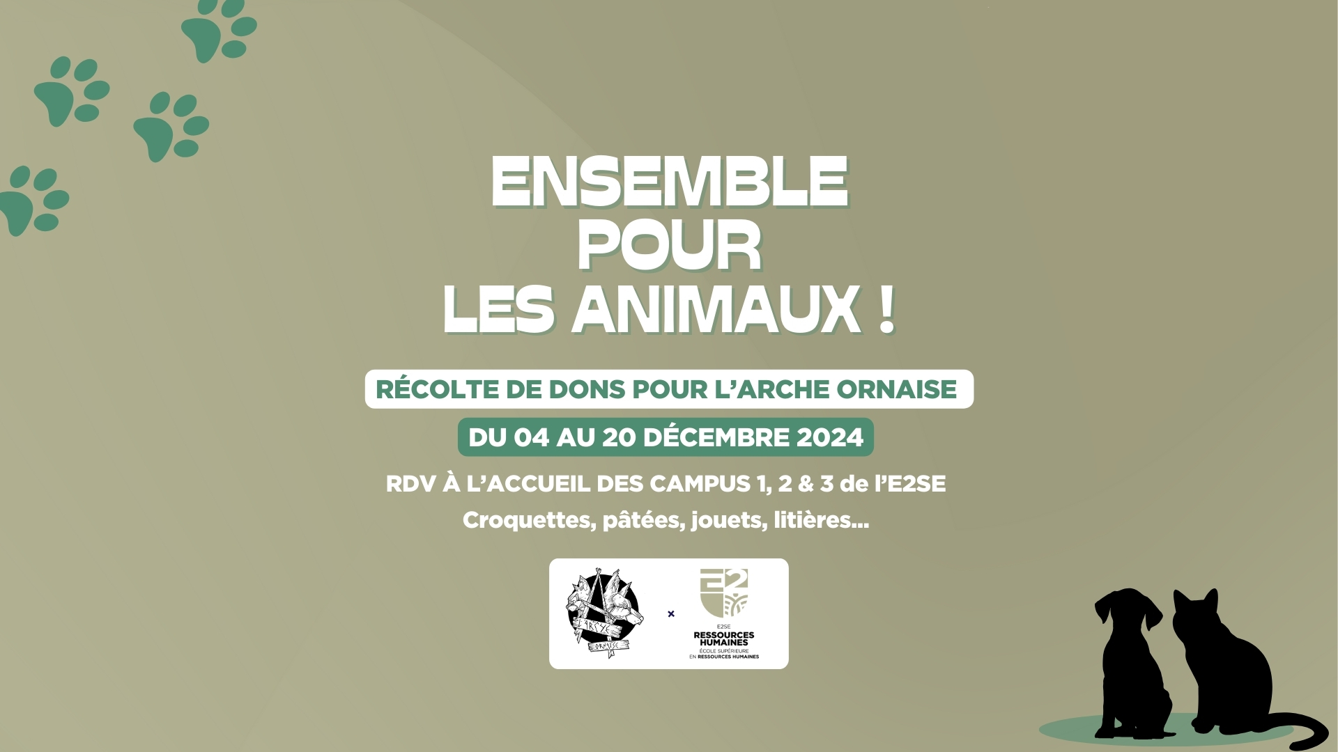 Image mise en avant de l'article SOLIDARITÉ EN ACTION